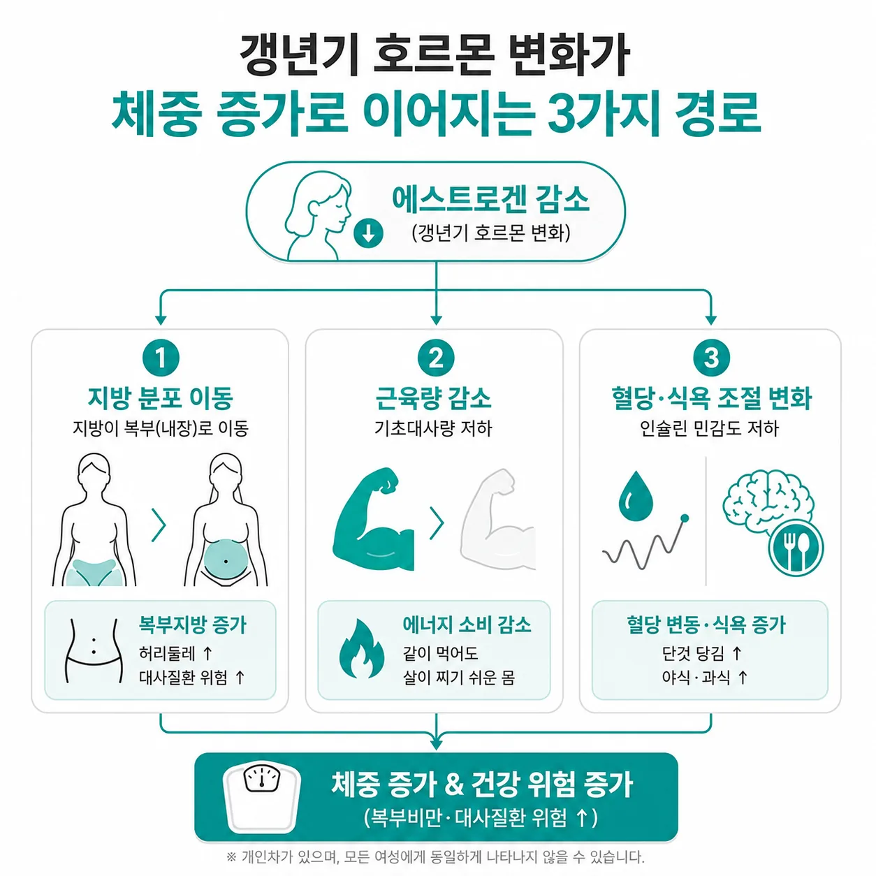 갱년기 호르몬 변화가 체중 증가로 이어지는 세 가지 대사 경로 도식