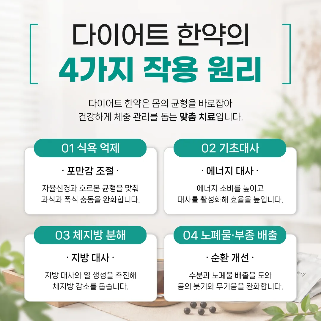 다이어트 한약 원리 4가지 인포그래픽