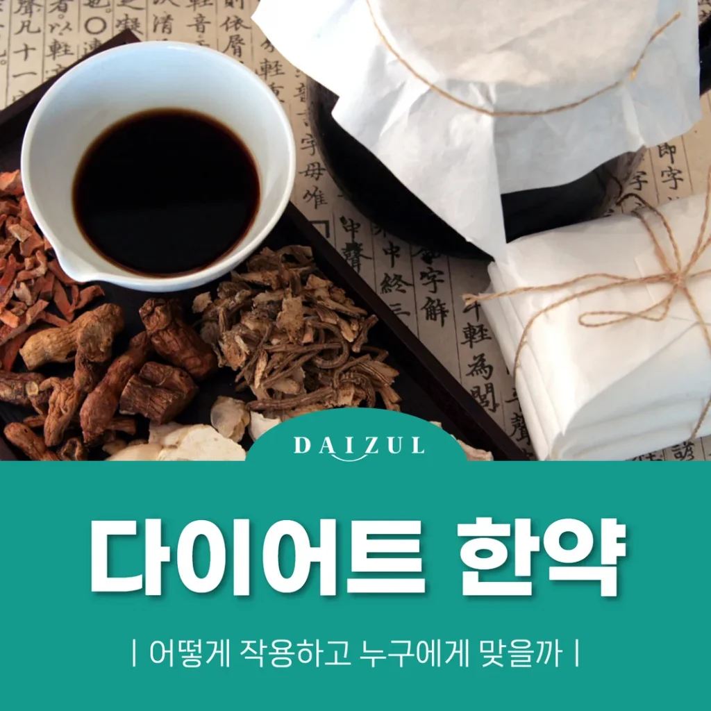 다이어트 한약, 어떻게 작용하고 누구에게 맞을까