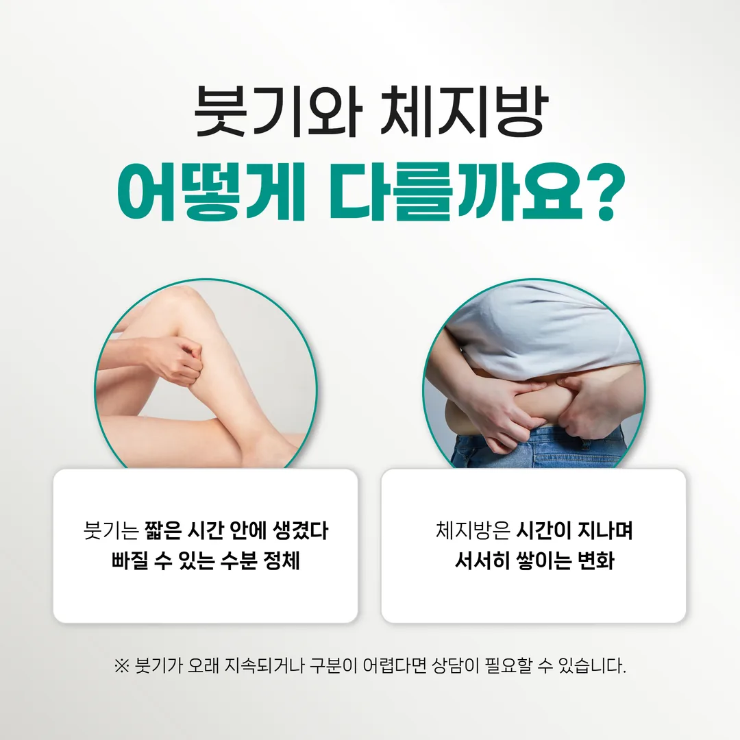 붓기와 체지방의 차이 비교 그래픽