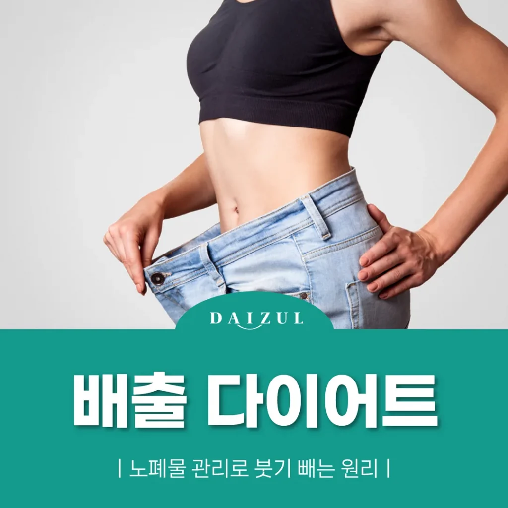 배출 다이어트, 노폐물 관리로 붓기 빼는 원리