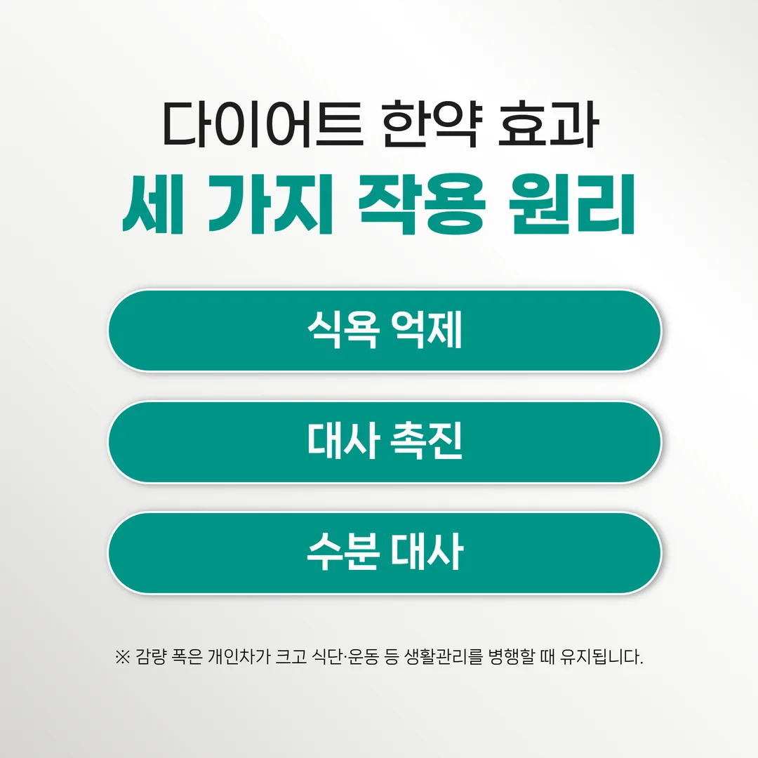 다이어트 한약 효과 세 가지 작용 원리