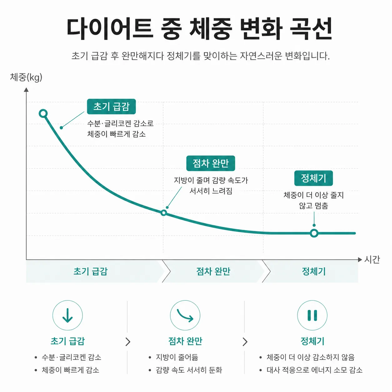 다이어트 시작 후 정체기 진입을 보여주는 체중 변화 곡선