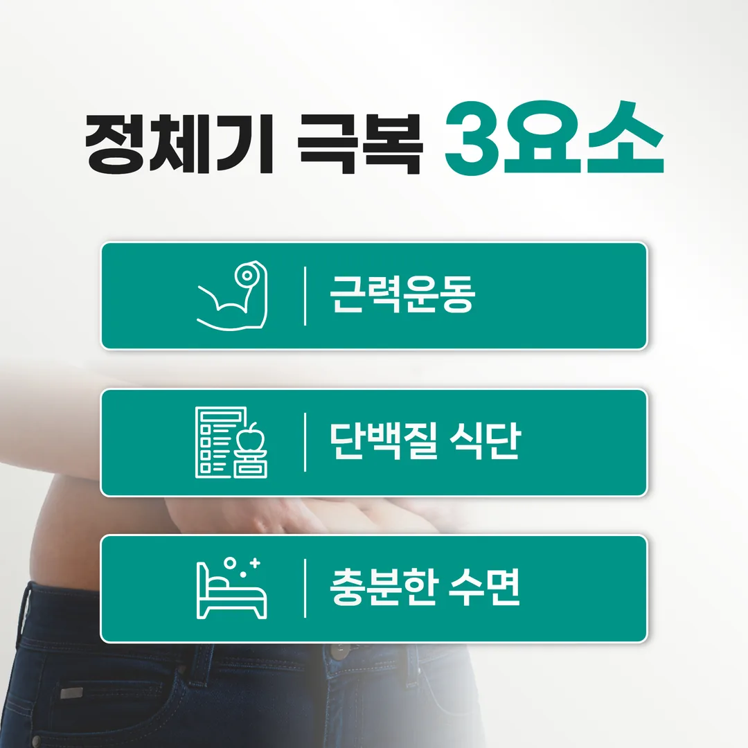다이어트 정체기 극복을 위한 근력운동 단백질 수면 관리