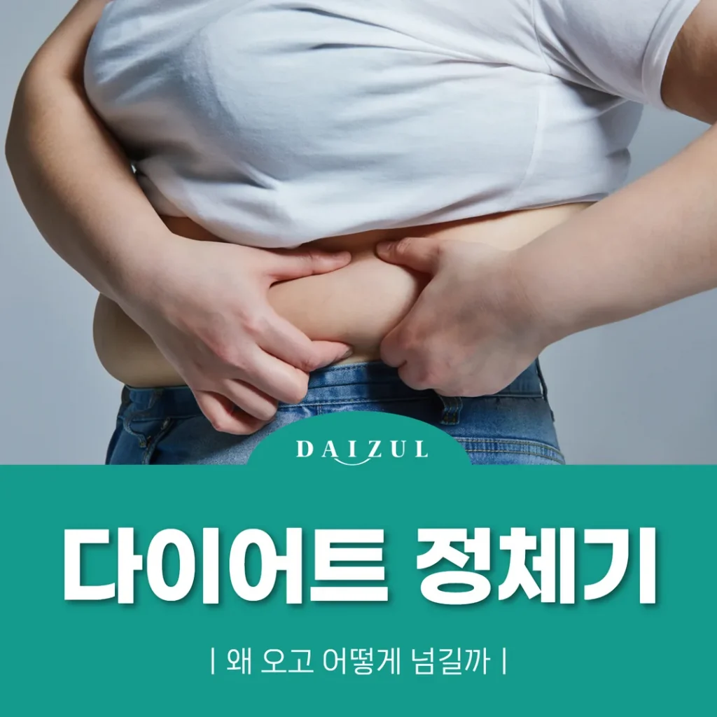다이어트 정체기, 왜 오고 어떻게 넘길까