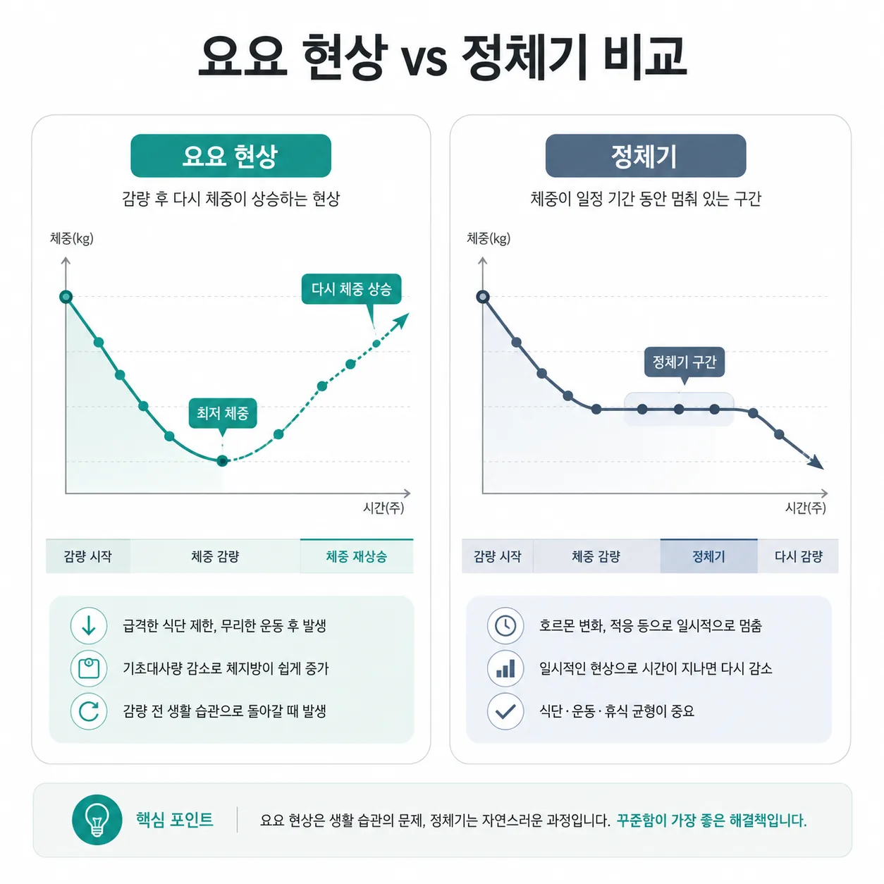 요요현상과 정체기 체중 변화 곡선 비교