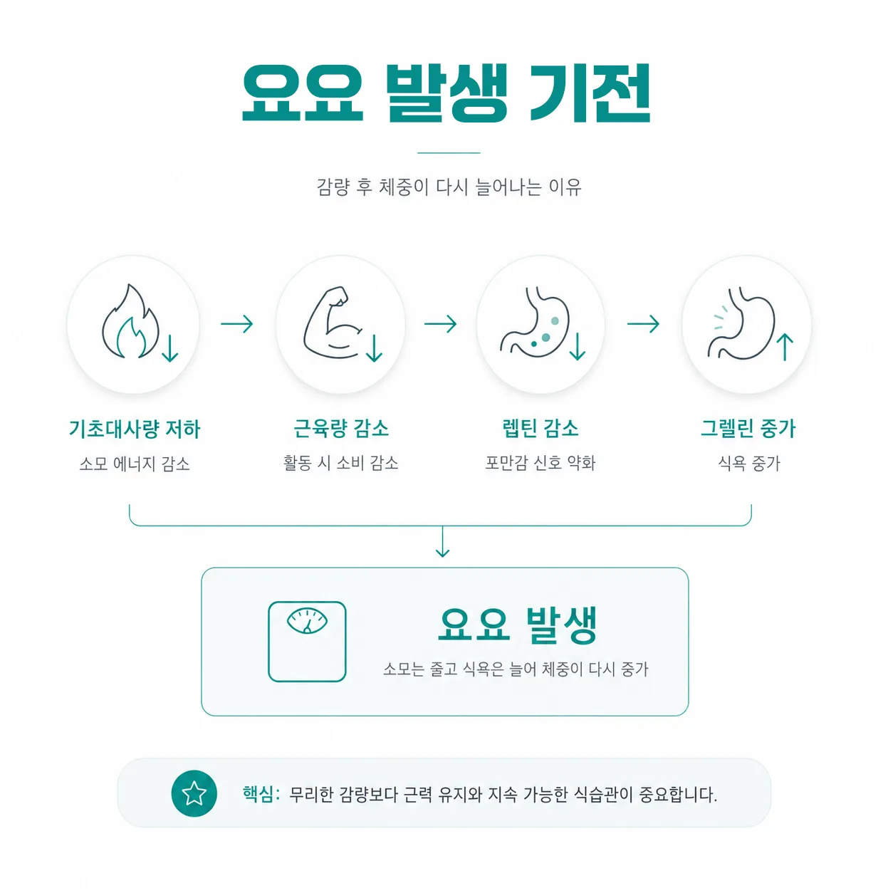요요현상이 발생하는 3가지 생리적 기전 다이어그램