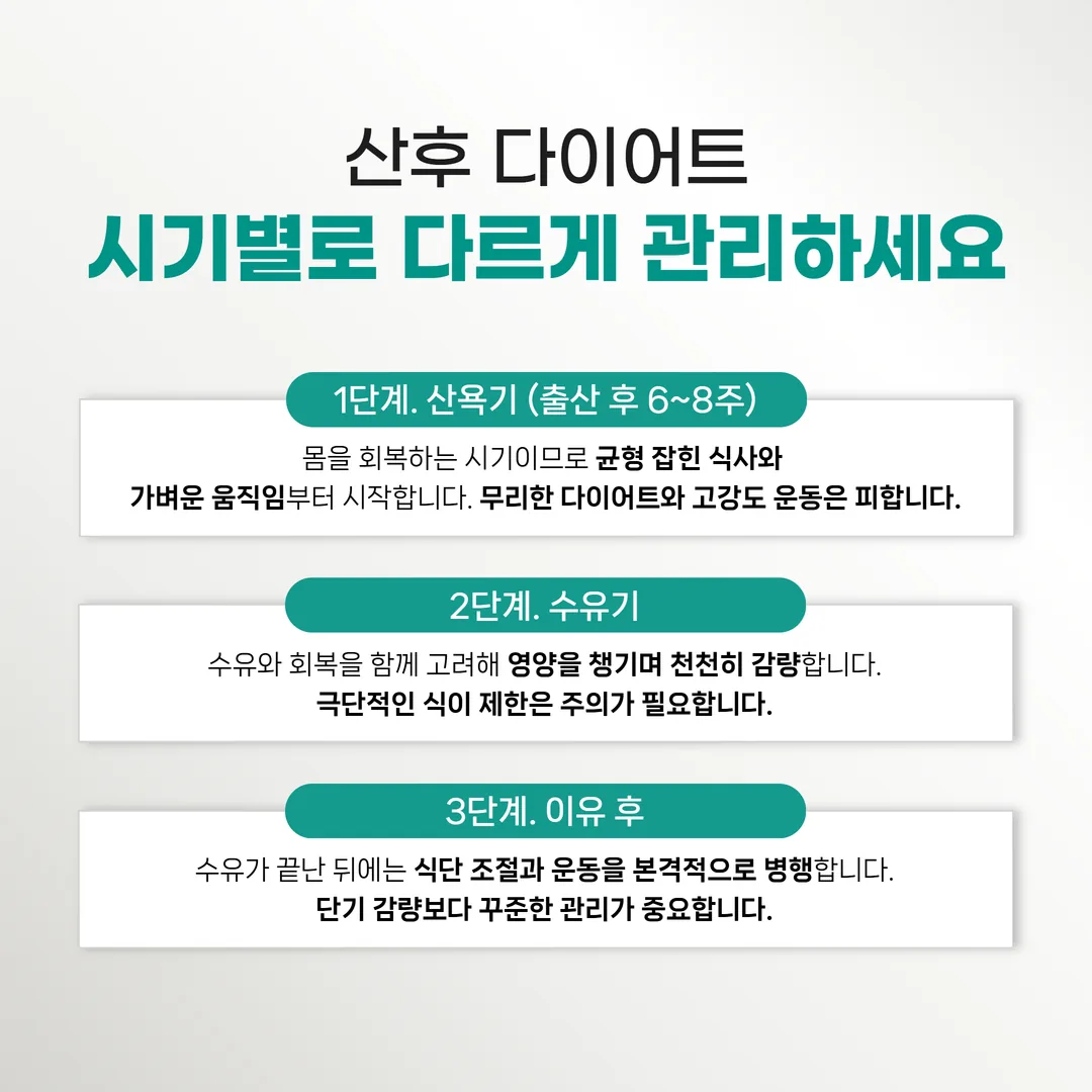 산후 다이어트 시기별 3단계 가이드 인포그래픽