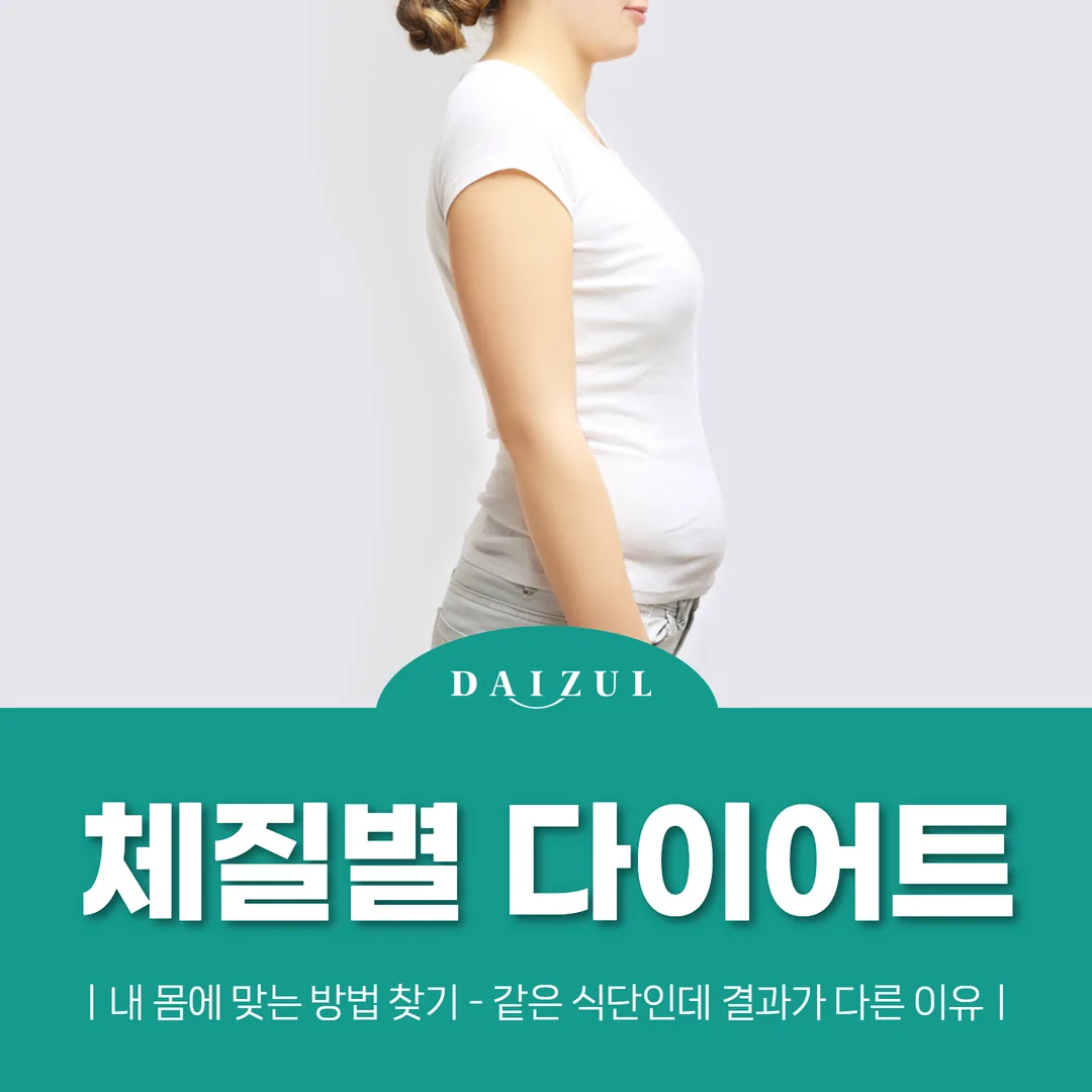 체질별 다이어트, 내 몸에 맞는 방법 찾기 — 같은 식단인데 결과가 다른 이유