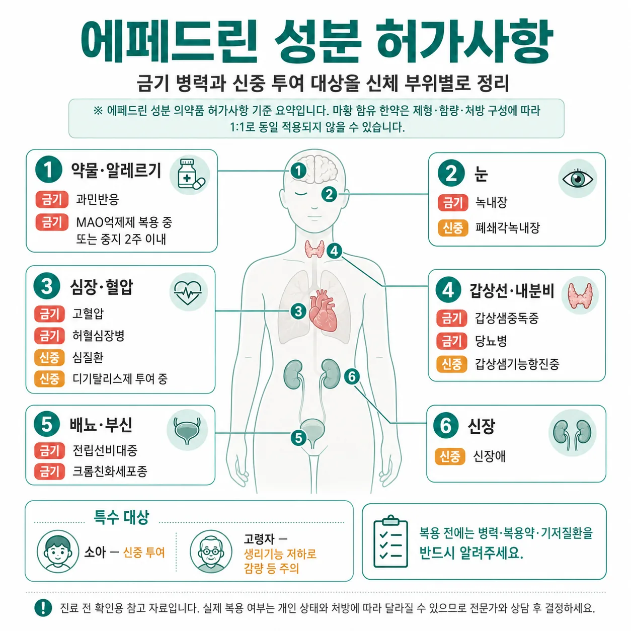 에페드린 성분 허가사항의 금기 병력과 신중 투여 대상을 부위별로 정리한 인포그래픽