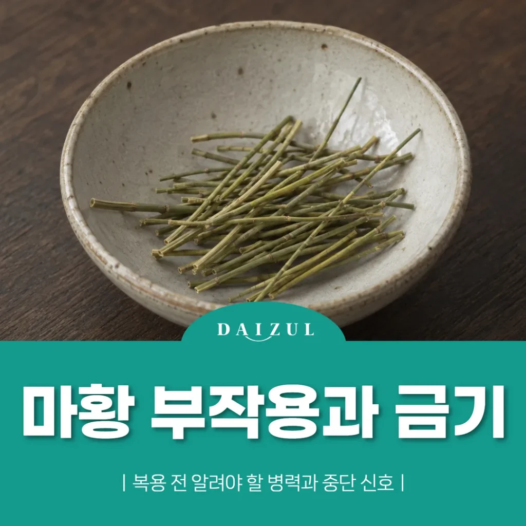 마황 부작용과 금기 — 복용 전 알려야 할 병력과 중단 신호