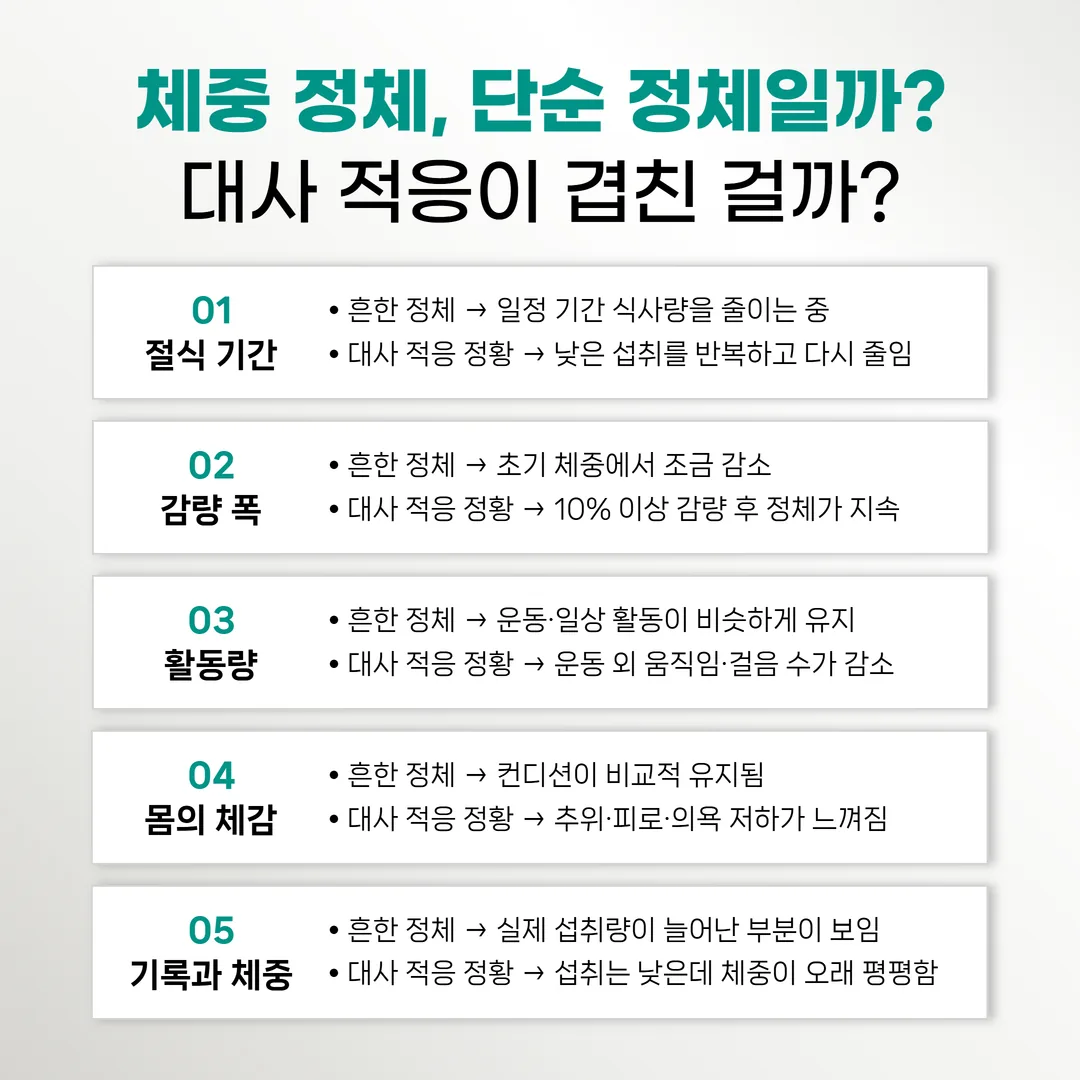 다이어트 정체와 대사 적응이 겹친 정황을 구분하는 체크 항목