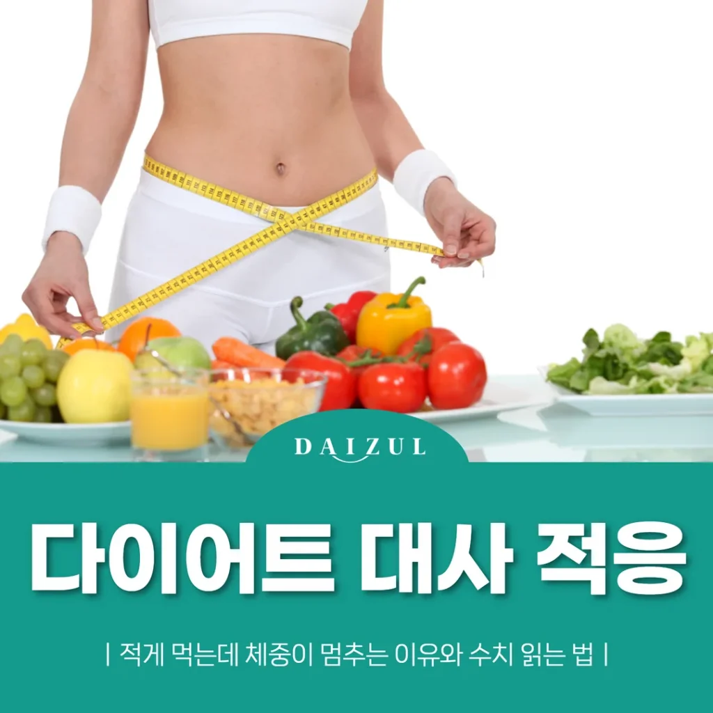 다이어트 대사 적응 — 적게 먹는데 체중이 멈추는 이유와 수치 읽는 법