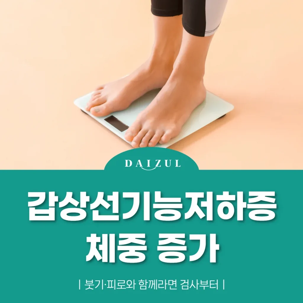 갑상선기능저하증 체중 증가 — 붓기·피로와 함께라면 검사부터