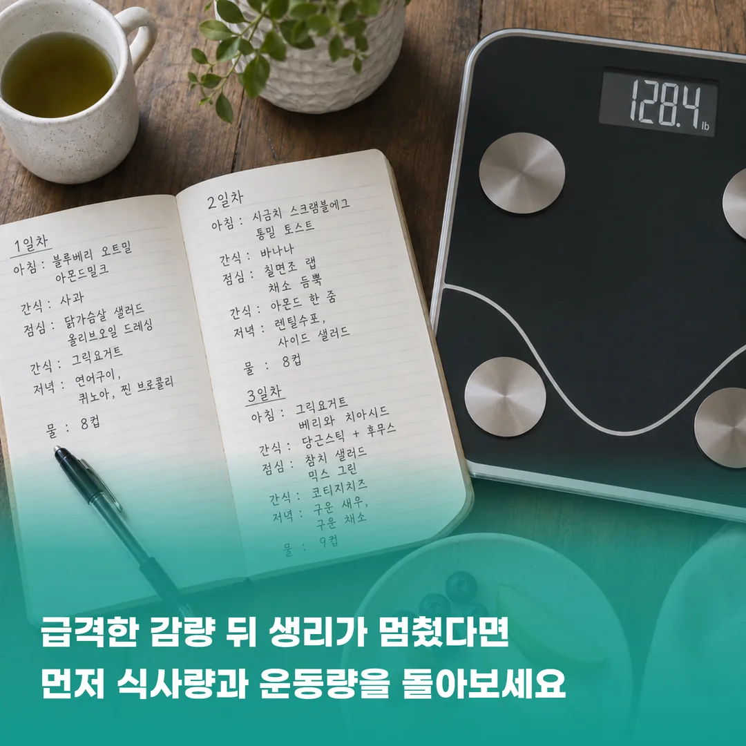 사흘치 식사 기록 노트와 체중계