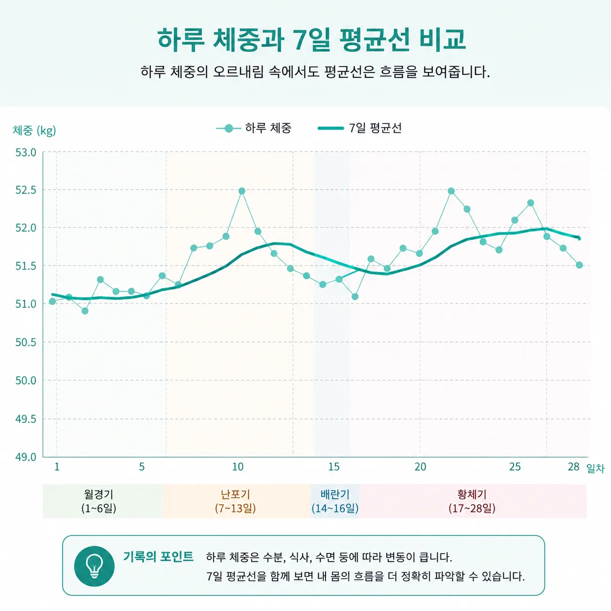 하루 체중과 7일 평균선을 비교한 그래프