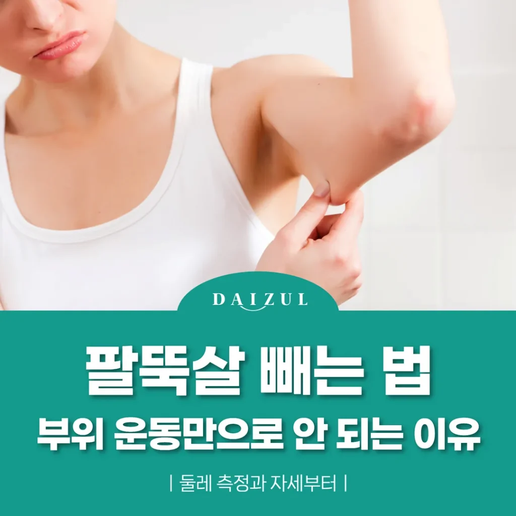 팔뚝살 빼는 법, 부위 운동만으로 안 되는 이유 — 둘레 측정과 자세부터