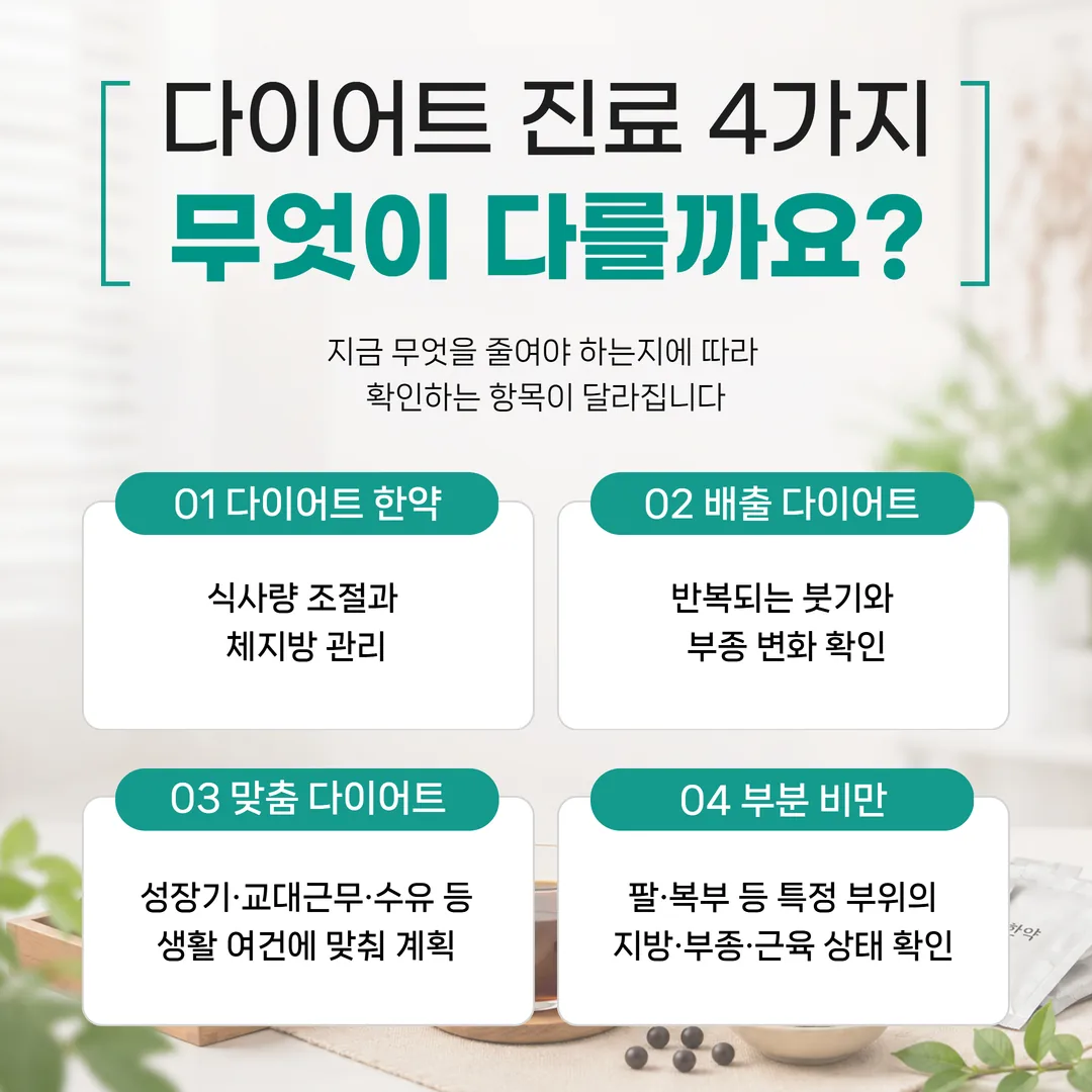 다이즐한의원 수원점 진료 항목 네 가지를 상황별로 구분한 도식