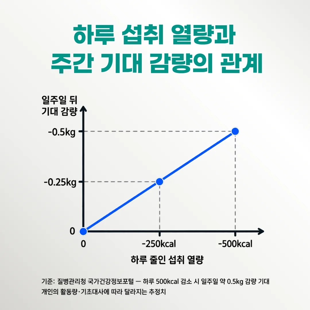 하루 섭취 열량 500kcal 감소가 일주일 약 0.5kg 감량에 해당한다는 관계를 세 지점으로 보여주는 눈금 그림