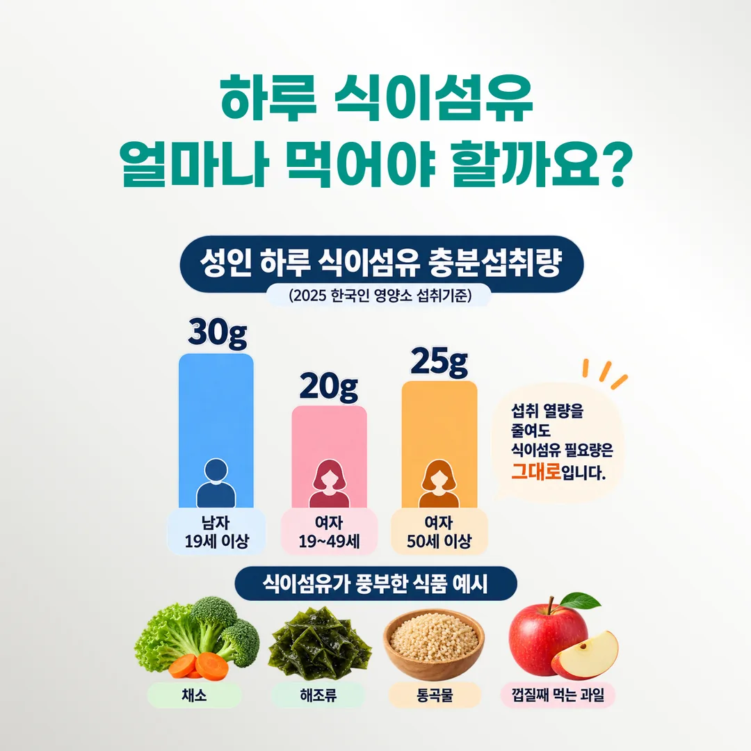 2025 한국인 영양소 섭취기준의 성인 식이섬유 하루 충분섭취량을 성별·연령대별 막대로 비교한 도표