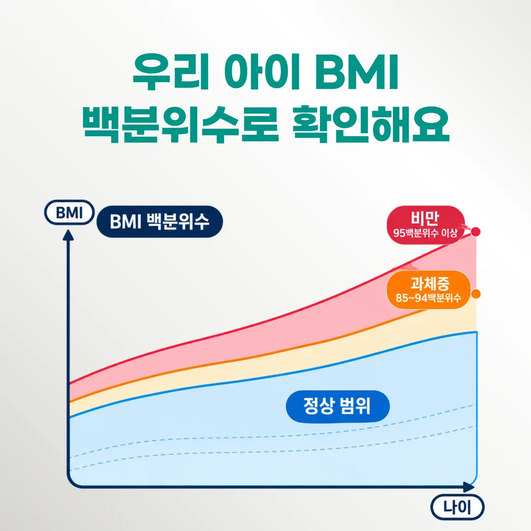 소아청소년 체질량지수 백분위수 구간과 과체중 85~94, 비만 95 이상 기준을 표시한 개념도